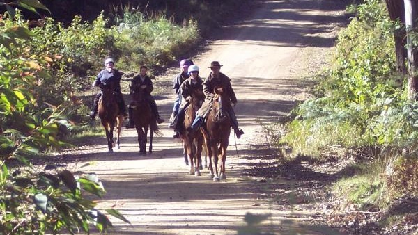 Central Coast Horse Riding